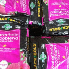 Black Gold 1 CF Cactus & Succulent Mix