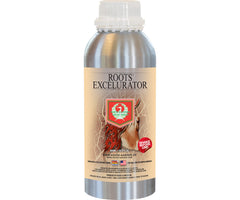 House & Garden 'Silver' Roots Excelurator