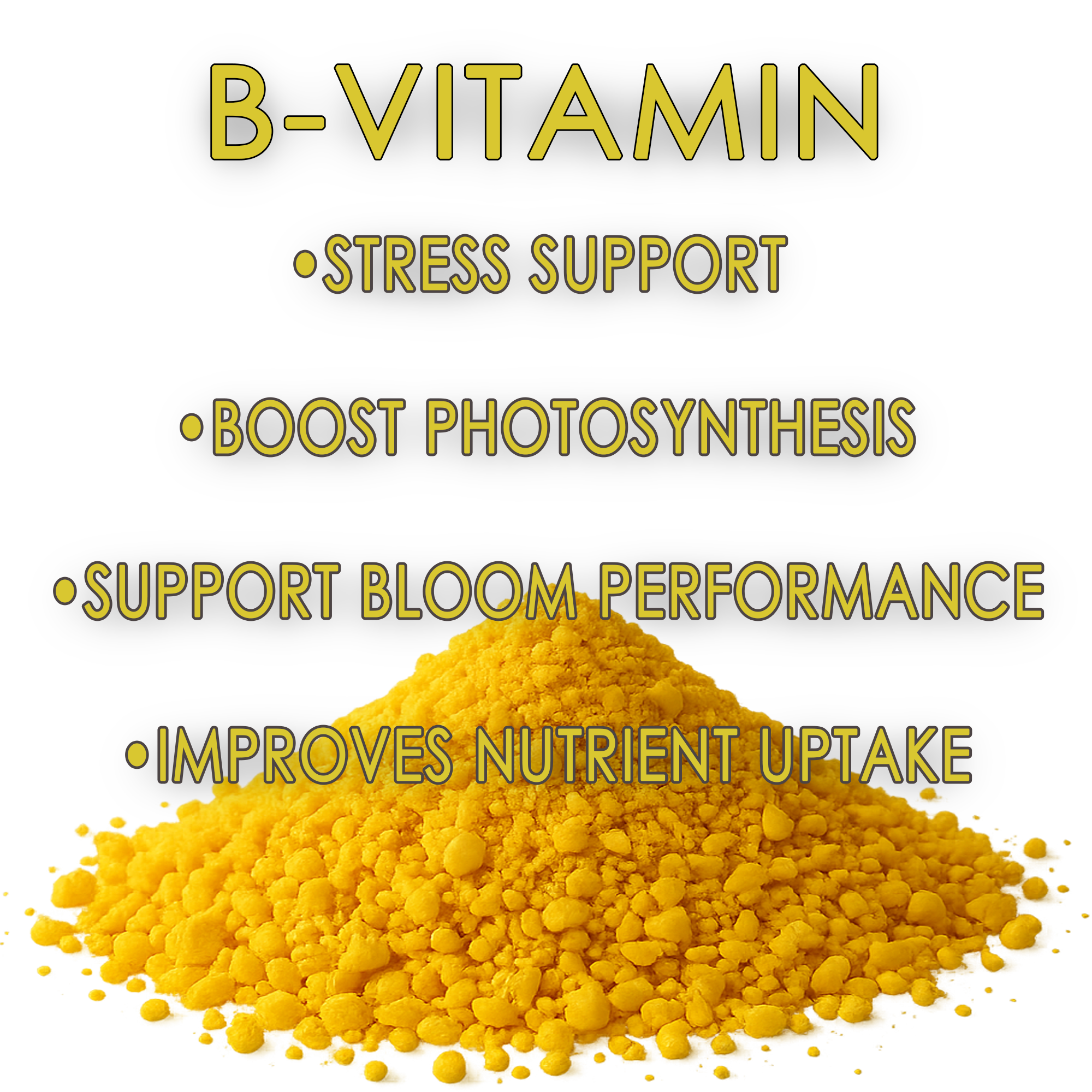 RAW B-Vitamin | 1% Vitamin B1 + 9% Magnesium | Water-Soluble Plant Supplement