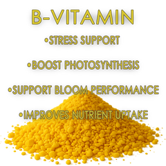 RAW B-Vitamin | 1% Vitamin B1 + 9% Magnesium | Water-Soluble Plant Supplement