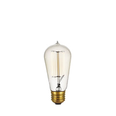 Incandescent Edison Bulb (120/240V)
