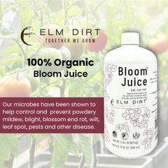 Bloom Juice Award-Winning Formula