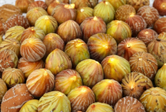 Brown Turkey Fig Unrooted Cuttings 4 Pack 6–8 Inch Stems for Propagation Fruit Tree Starter