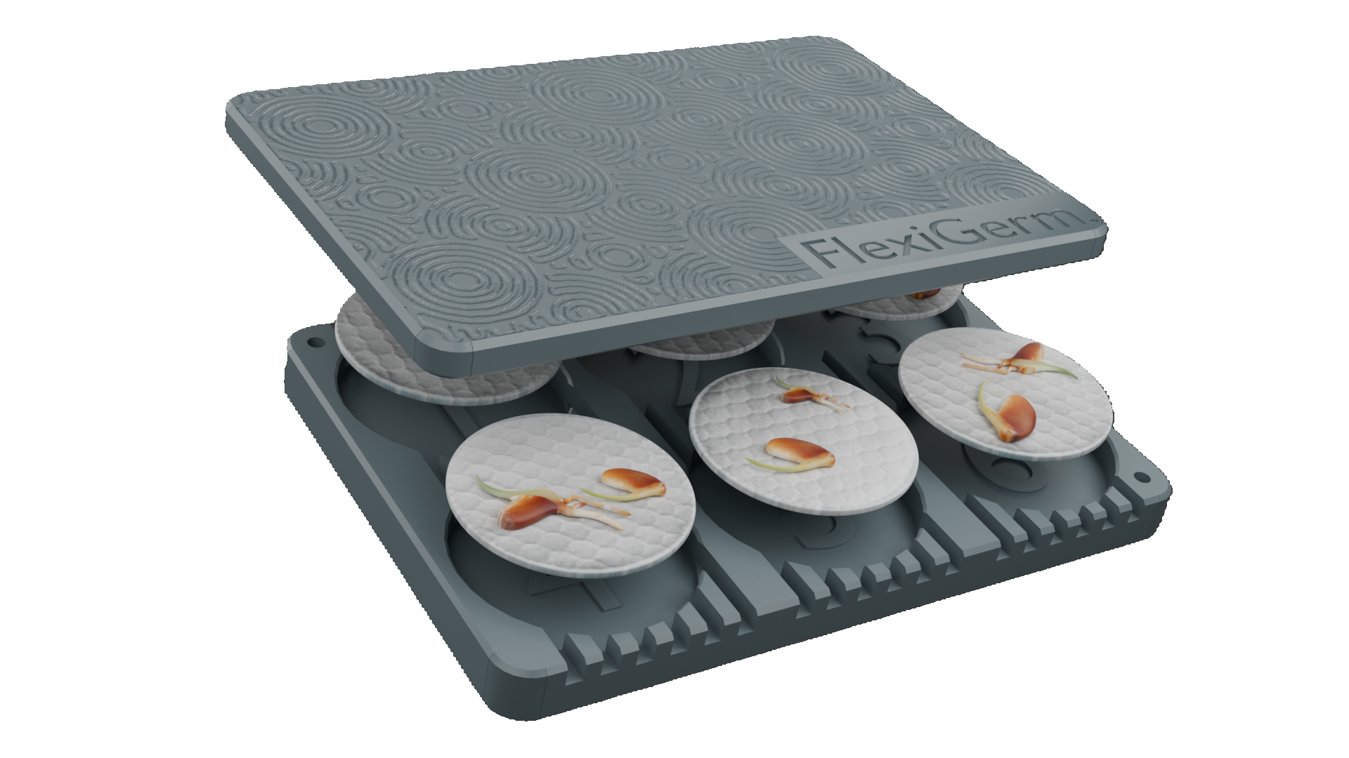 FlexiGerm Silicone Seed Germination Tray