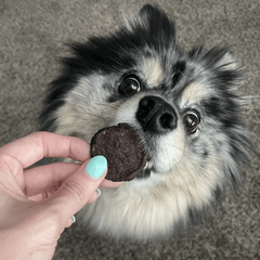Holiday Chips Dog Treats - Beef & Fish 4oz