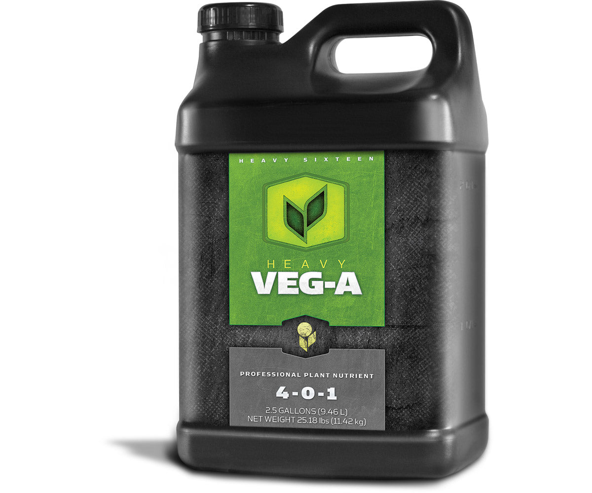 HEAVY 16 Veg A