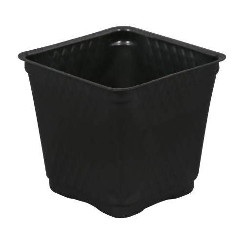 Square Plastic Pot Black 3.5 in