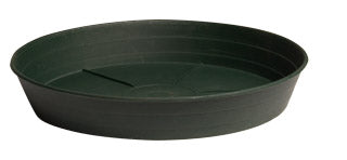 Green Premium Saucer 8" single saucer