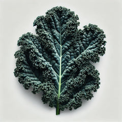 Kale (Mamba) (4x)