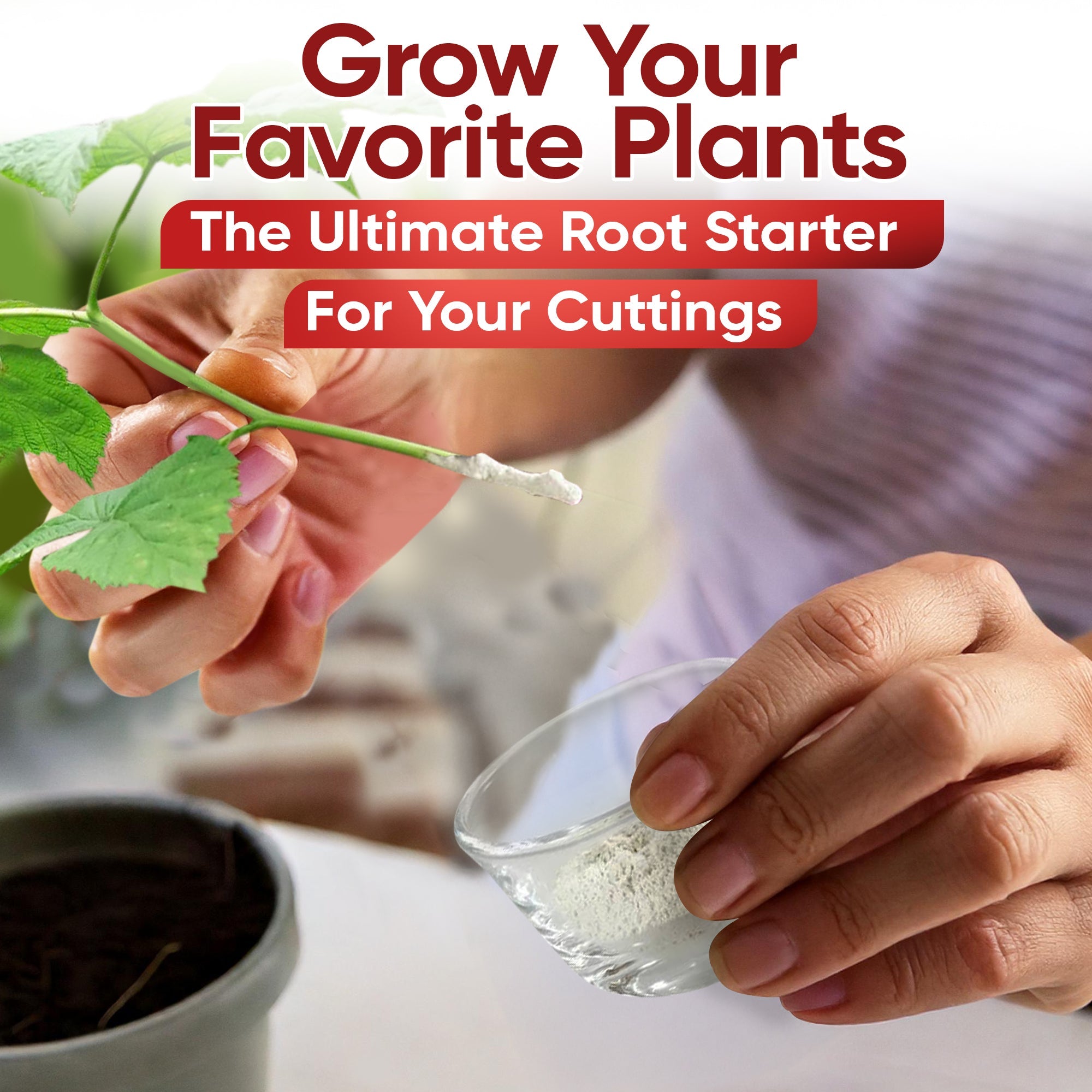 Hormex Rooting Powder #8 & 16 - Rooting Hormone for Semi-Hardwood Home and Garden Plants to Very Difficult Hardwood, Medicinal and Tree Cuttings