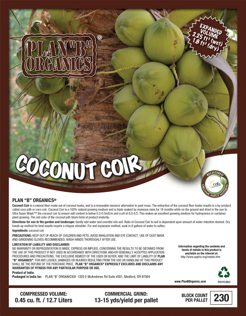 Plan B Coco