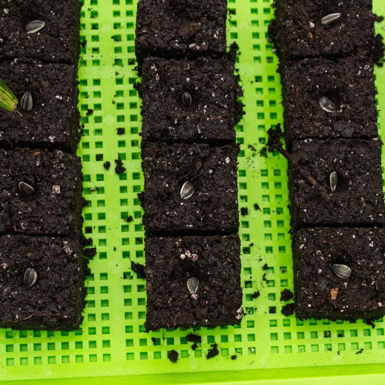 Soil Blocking Starter Kit