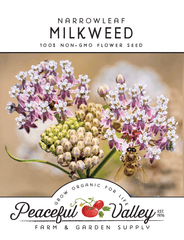 Narrowleaf Milkweed Seeds