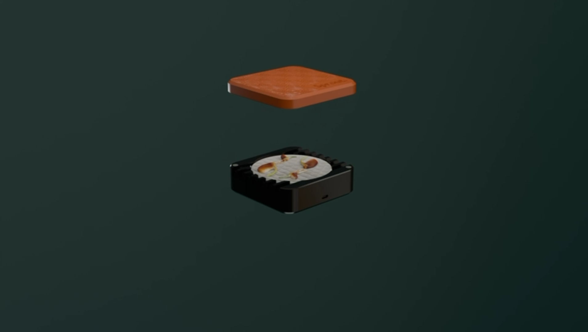 Sprout Silicone Germination Chamber