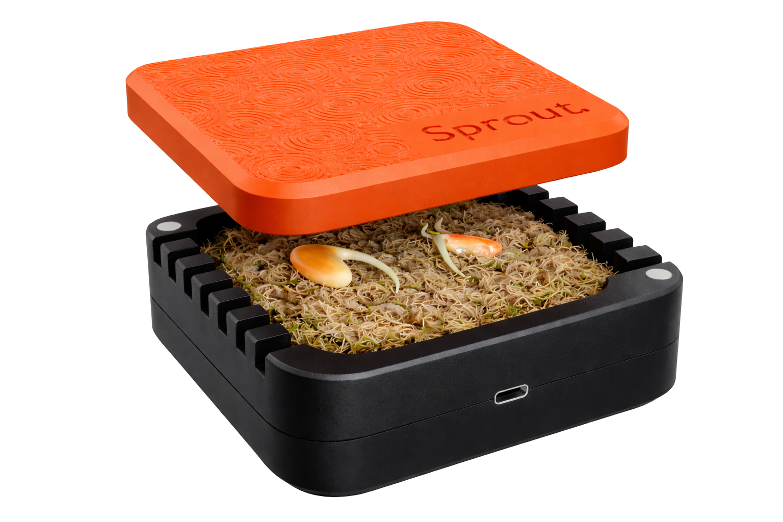 Sprout Silicone Germination Chamber