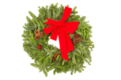 22" Decorated Evergreen Wreath | Fresh Fraser, Noble & Cedar Holiday Wreath | House Plant Shop