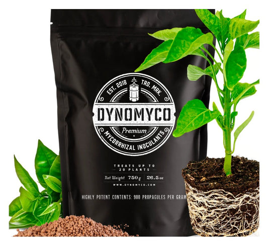 Dynomyco Mycorrhizae Granules