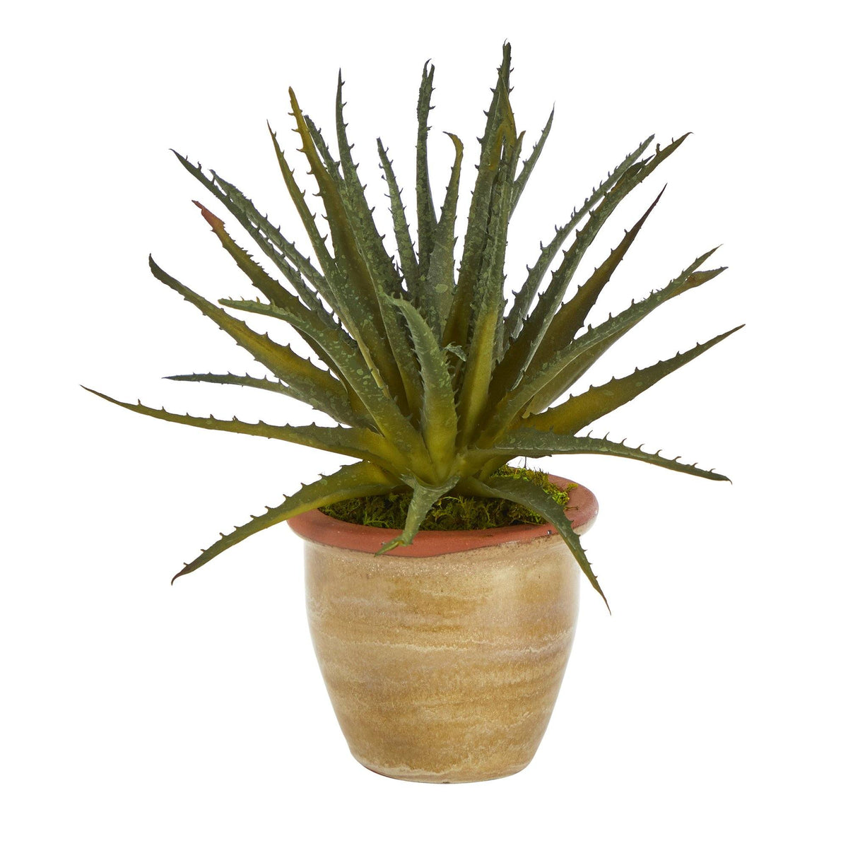 11” Aloe Artificial Plant in Ceramic Planter