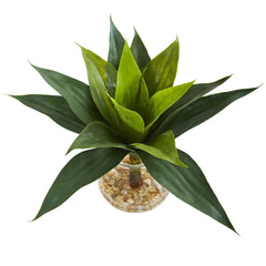 12" Agave Succulent Artificial Plant in Glass Vase"