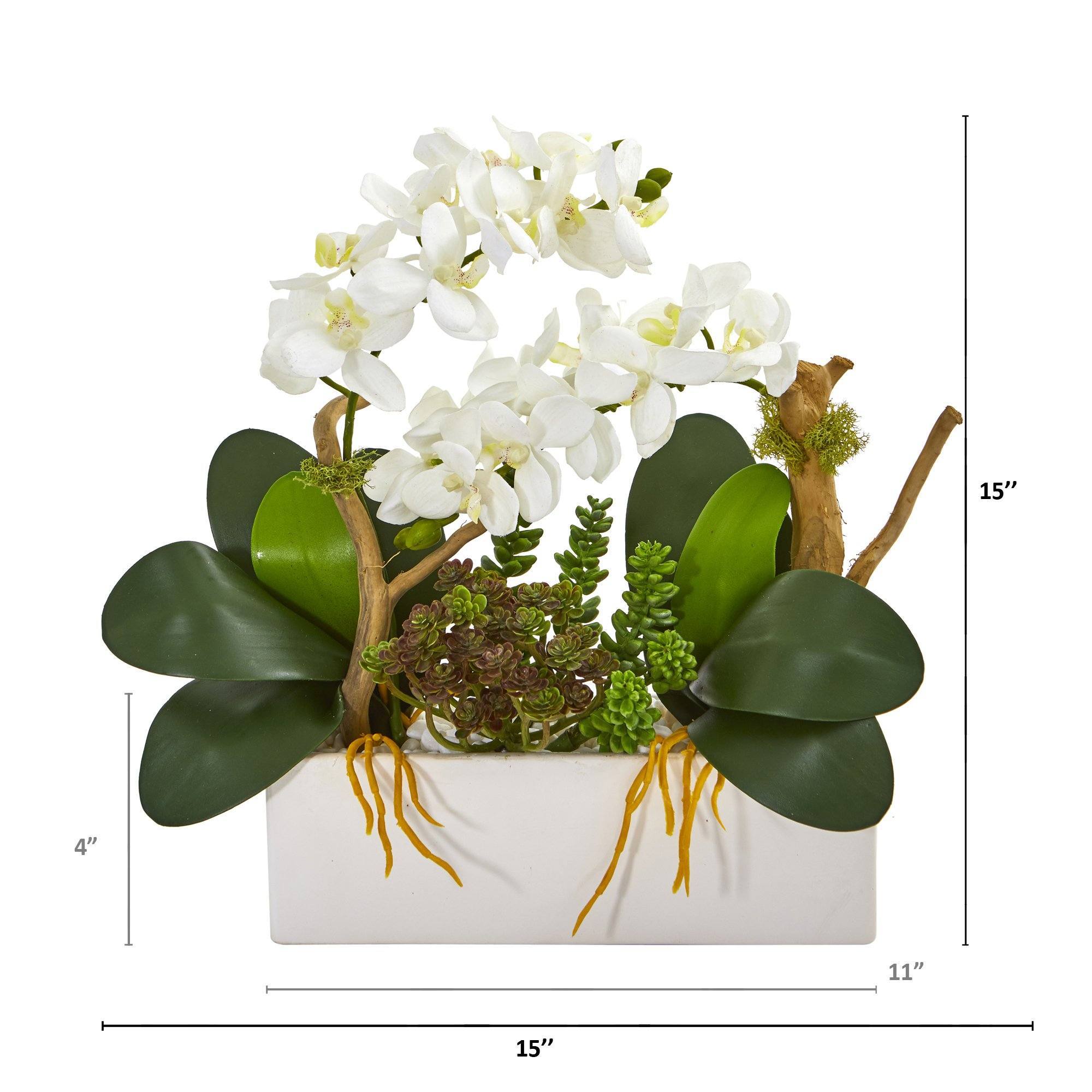 15” Phalaenopsis Orchid and Succulent Artificial Arrangement
