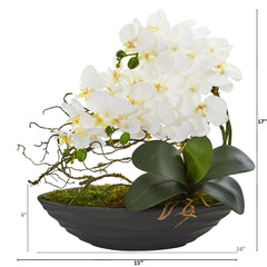 17” Phalaenopsis Orchid Arrangement in Decorative Planter