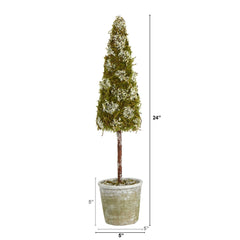 2’ Flocked Moss Artificial Christmas Tree in Decorative Planter