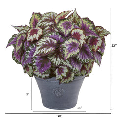 22” Begonia Artificial Plant in Gray Planter