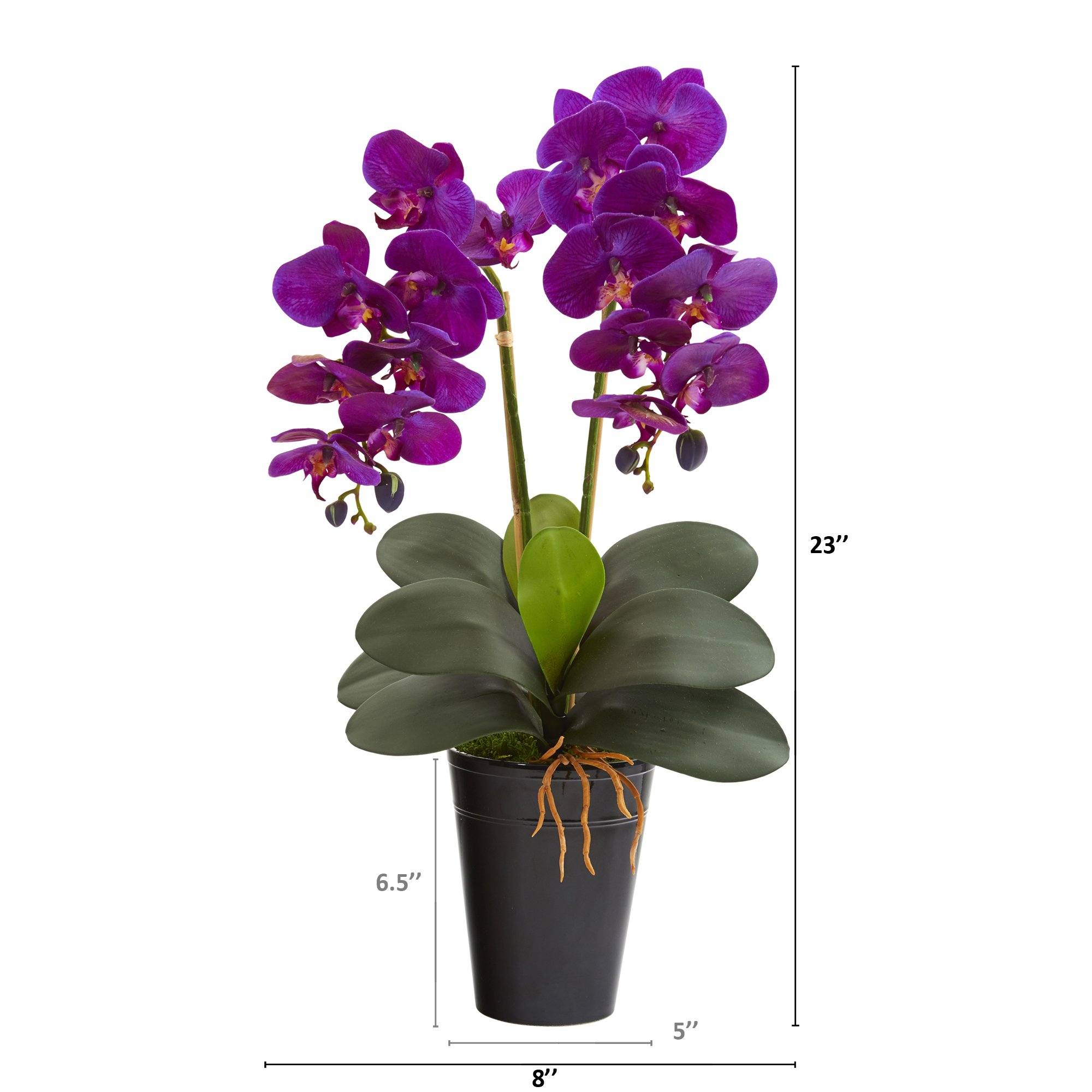 23” Double Phalaenopsis Orchid Artificial Arrangement in Vase