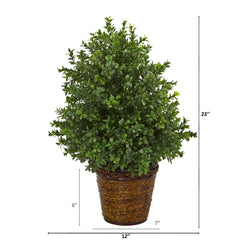 23” Sweet Grass Artificial Plant in Basket (Indoor/Outdoor)