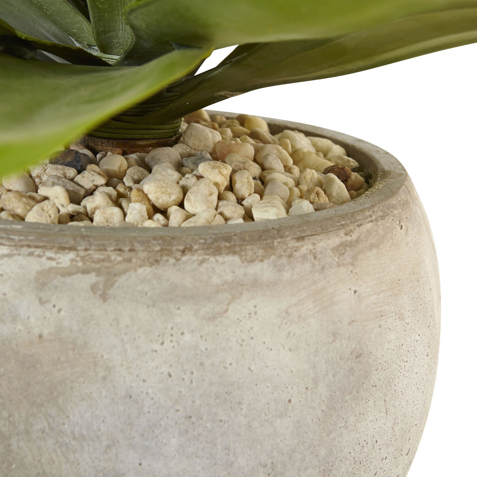 24" Agave in Sand Colored Bowl"