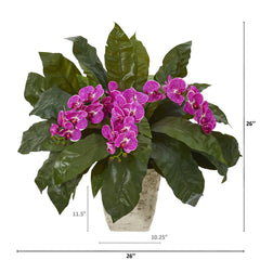 26” Phalaenopsis Orchid and Fern Plant in White Planter