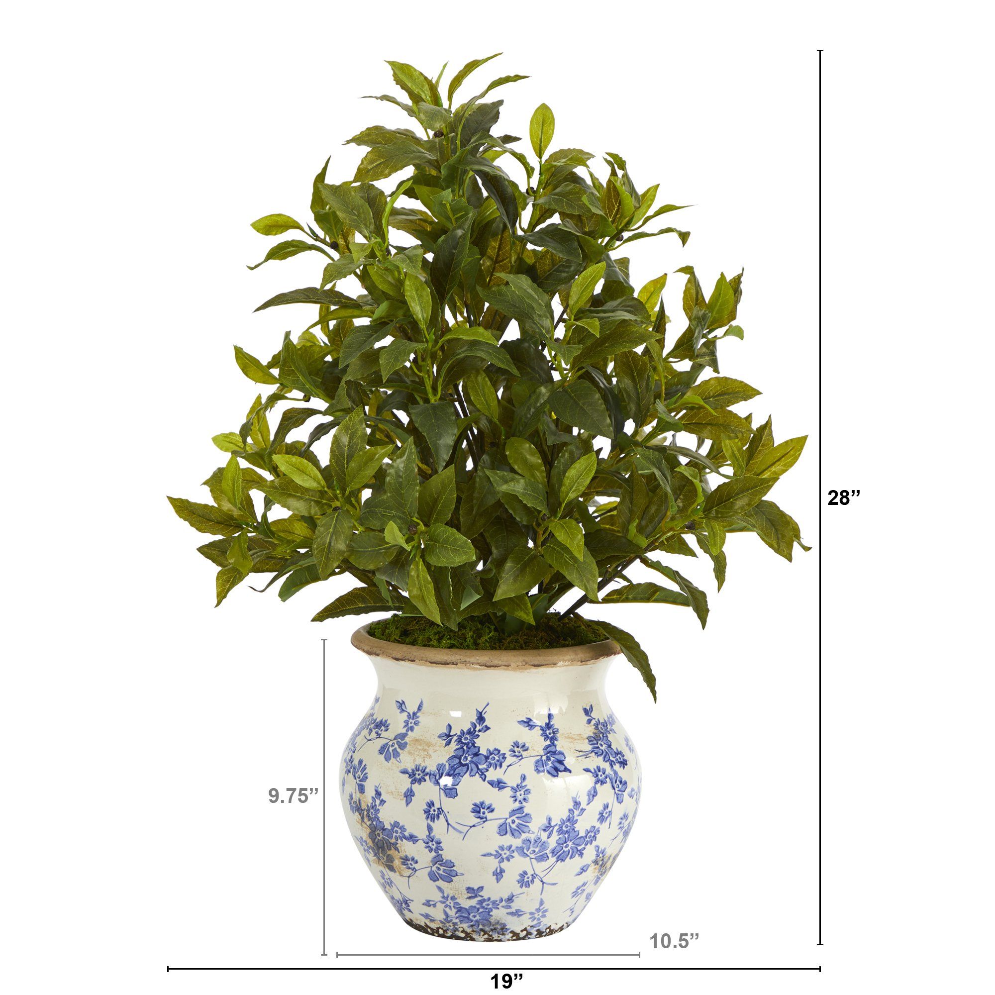 28” Coffee Leaf Artificial Plant in Vintage Floral Planter (Real Touch)