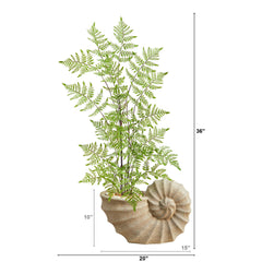 3’ Ruffle Fern Artificial Tree in Shell Shaped Planter
