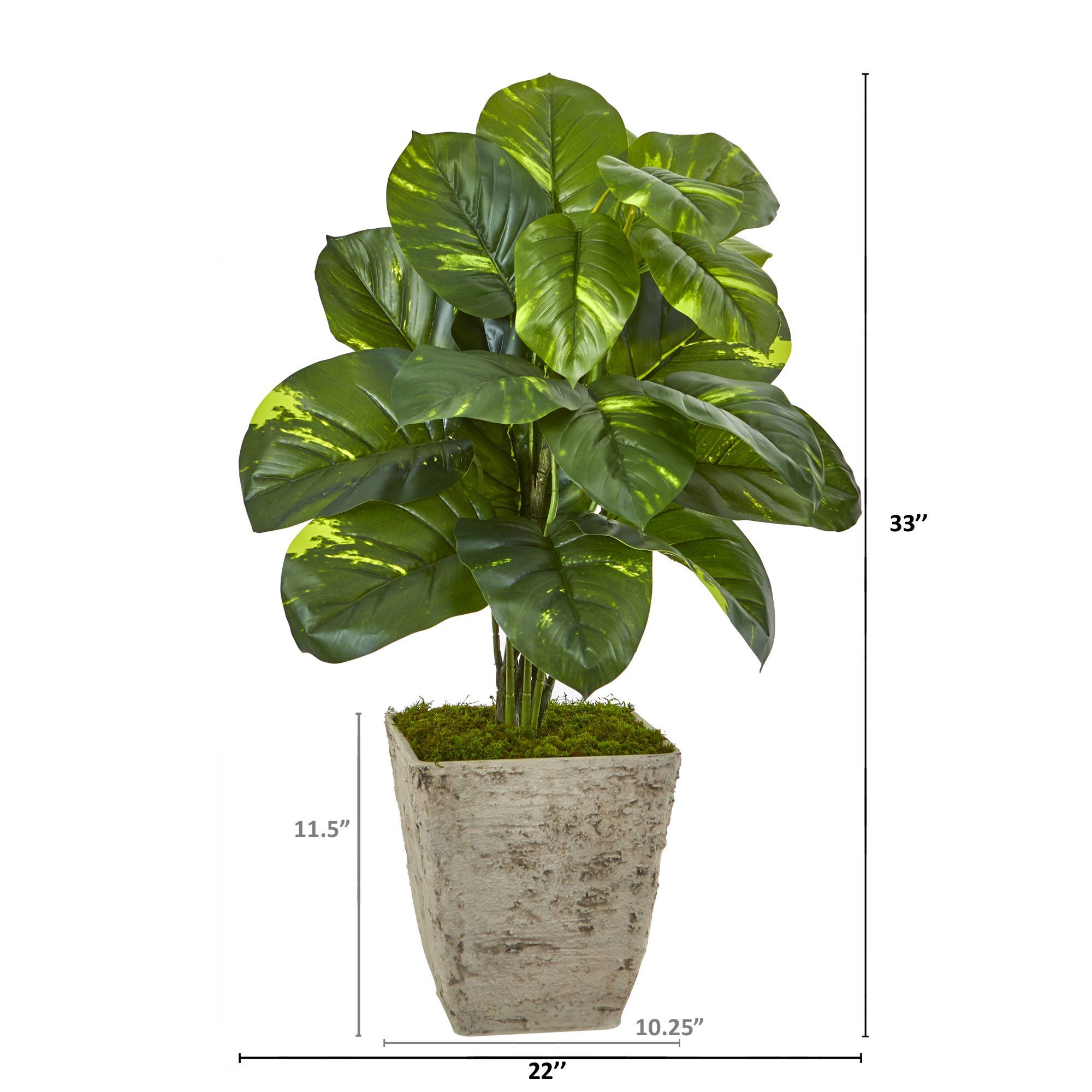 33” Dieffenbachia Artificial Plant in Country White Planter