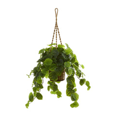 34” Peperomia Artificial Plant in Hanging Basket (Real Touch)