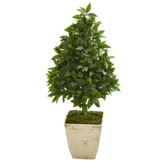 34” Sweet Bay Cone Topiary Artificial Tree in Country White Planter