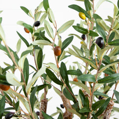 3.5’ Artificial Olive Tree with Lush Design