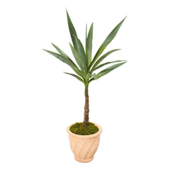 35” Yucca Artificial Plant in Terra-Cotta Planter