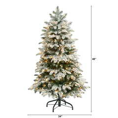 4’ Flocked North Carolina Fir Christmas Tree with 250 Warm White Lights and 779 Bendable Branches