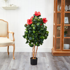 4’ Hibiscus Tree