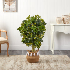 4’ Schefflera Tree in Boho Chic Handmade Natural Cotton Woven Planter with Tassels (Real Touch)