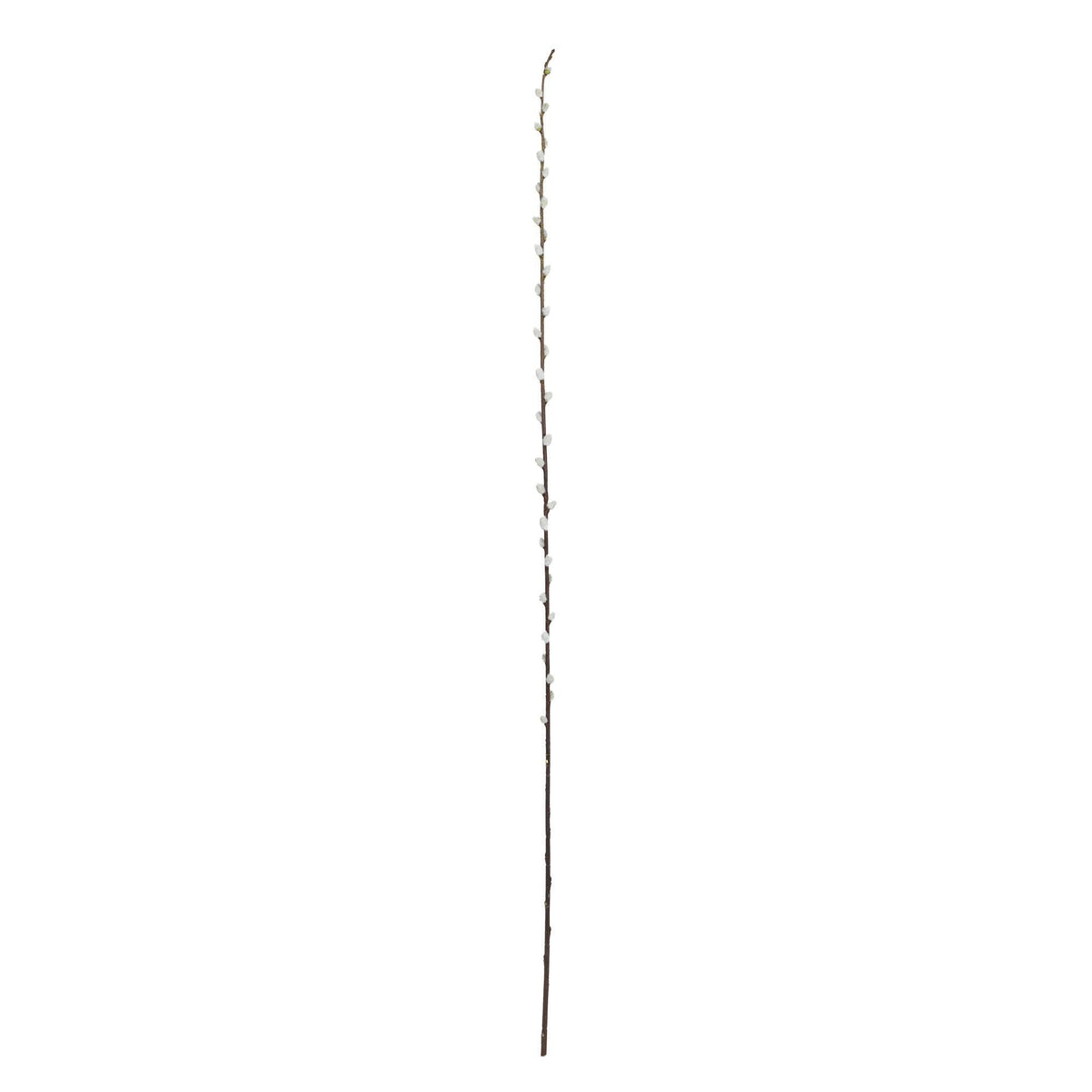 40” Pussy Willow Artificial Flower (Set of 12)