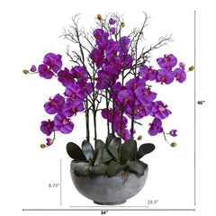 46" Giant Phalaeopsis w/Cement bowl"
