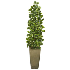 47” Variegated Holly Leaf Artificial Tree in Green Planter (Real Touch)