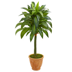 49” Dracaena Artificial Plant in Terra Cotta Planter