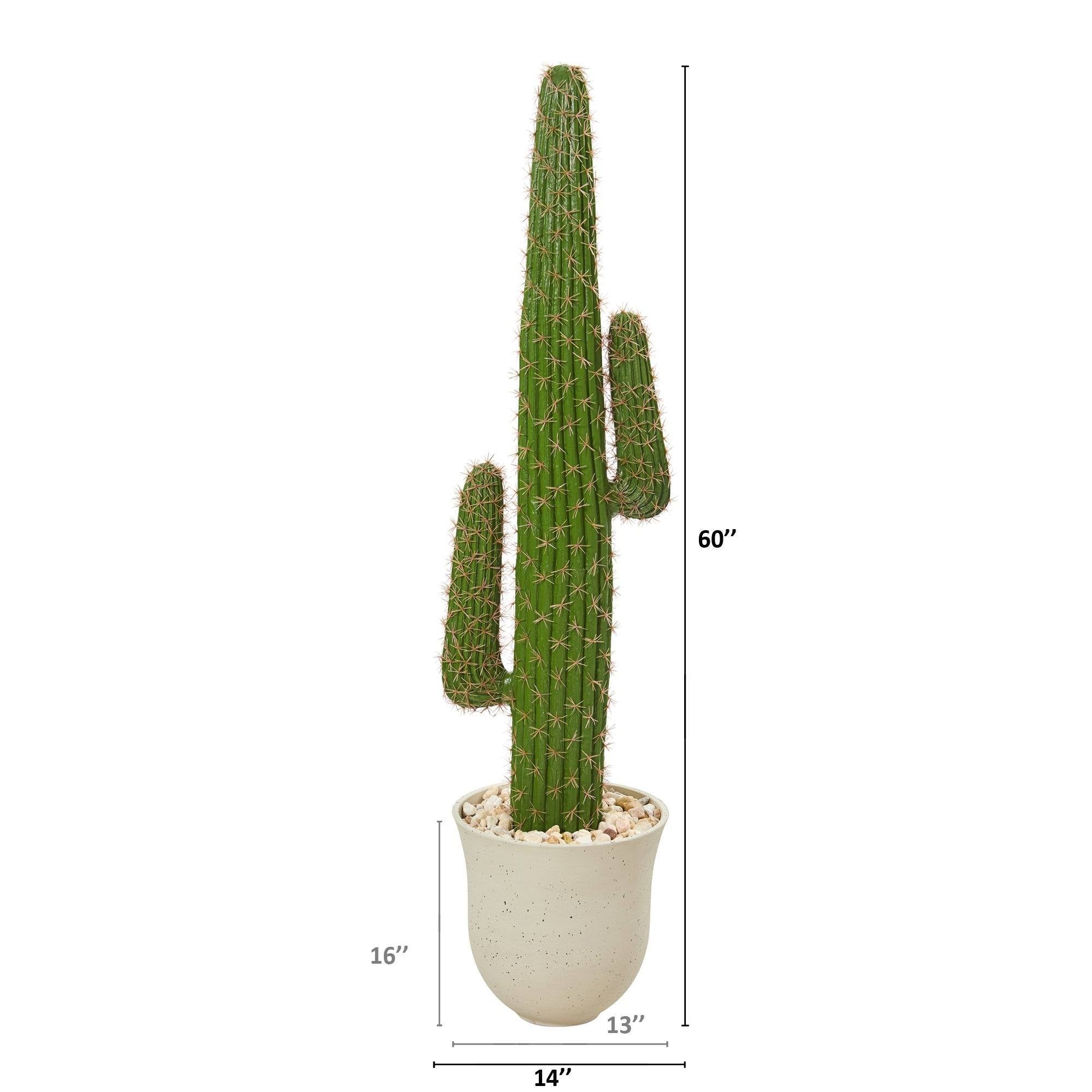 5’ Cactus Artificial Plant in Decorative Urn