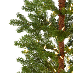 5' Fairbanks Fir Artificial Christmas Tree with 150 Clear Warm (Multifunction) LED Lights and 118 Bendable Branches