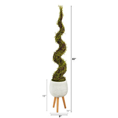 5’ Mohlenbechia Spiral Artificial Tree in White Planter with Stand
