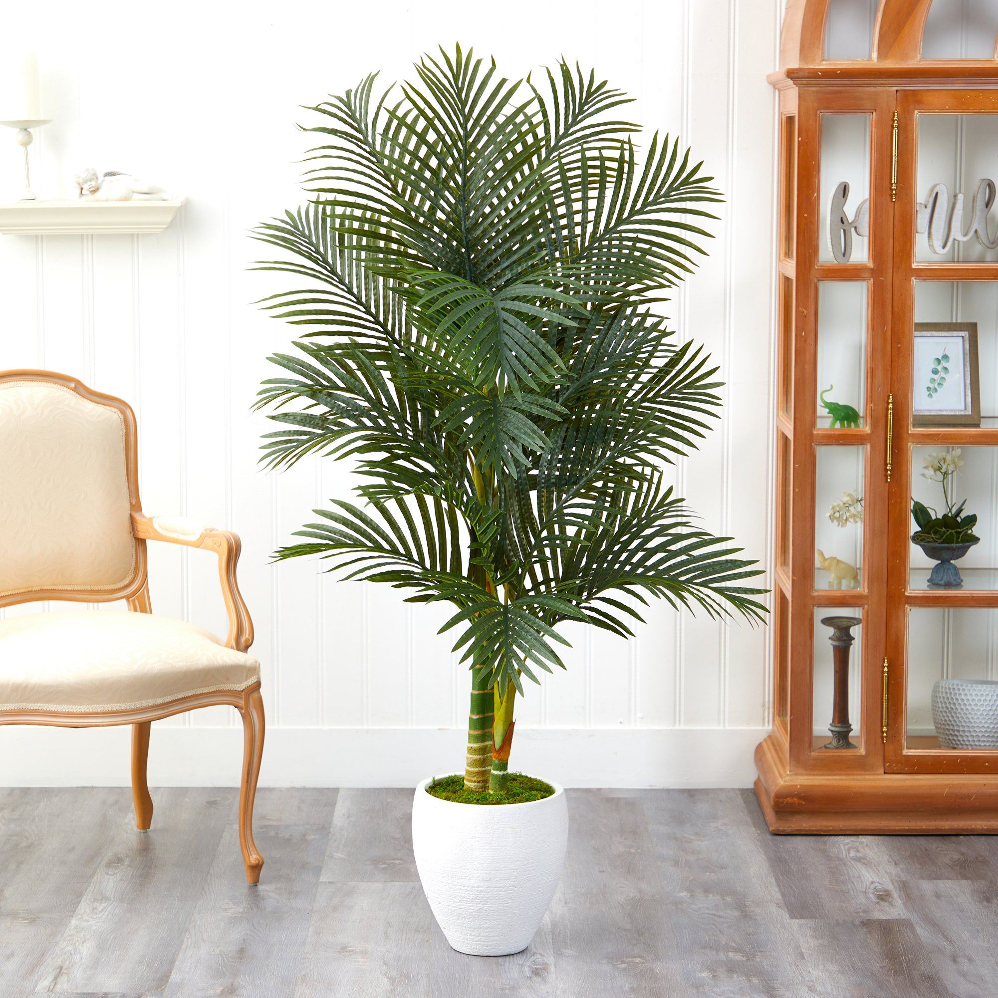 5’ Paradise Palm Artificial Tree in White Planter with Faux Moss