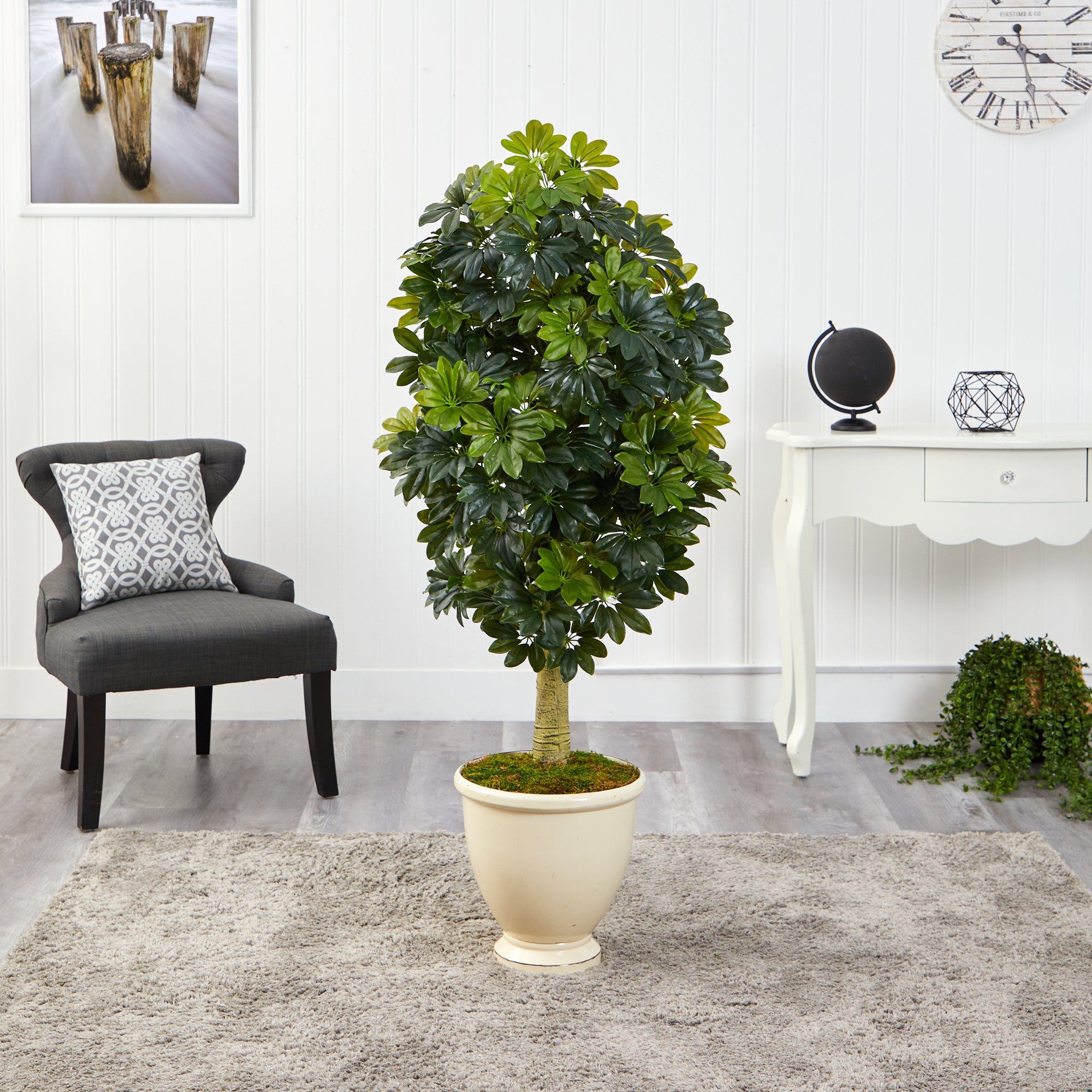5' Schefflera Artificial Tree in Decorative Urn (Real Touch)